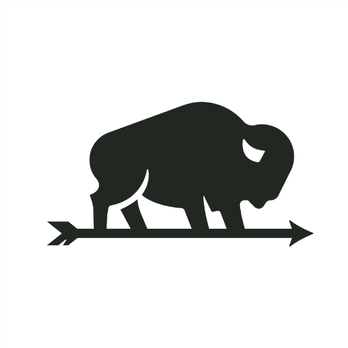 Nebraska Bison